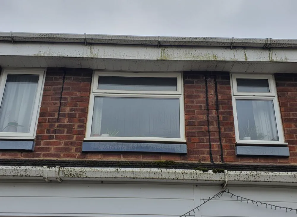 Roofline soffits and fascias stained with algae and grime, before the soft wash