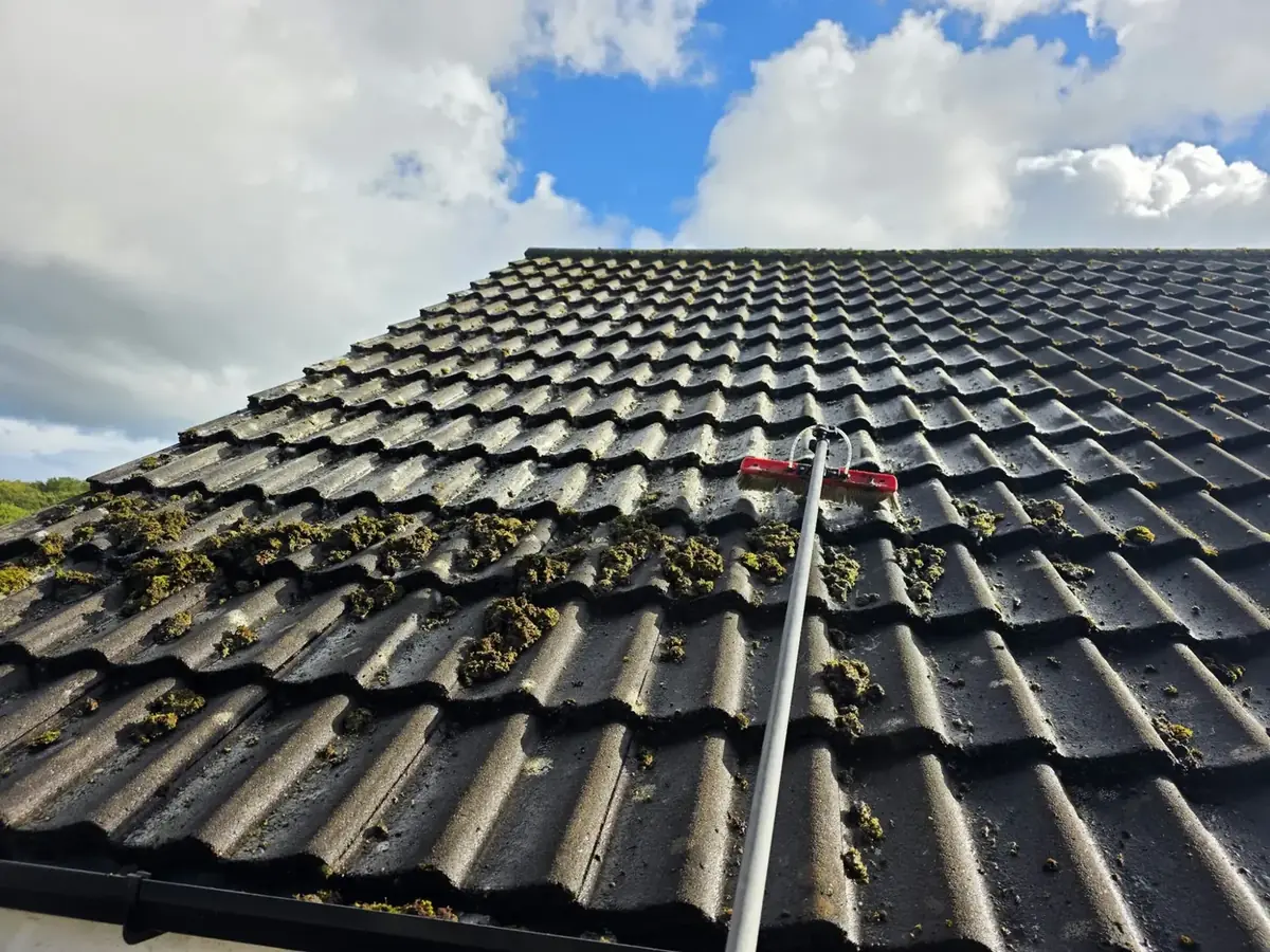 Years of moss on a Telford roof with a soft brush head on a water-fed pole resting on the tiles