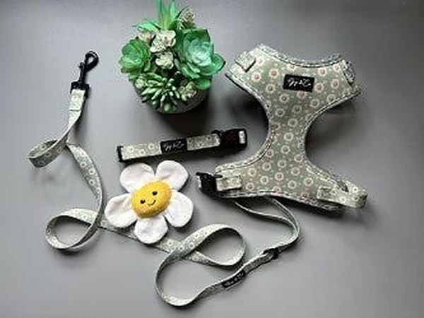 The Have a great daisy collection: sage-green harness, collar, lead and bow tie with a daisy and heart print