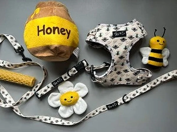 The Honey Love collection: cream harness, collar, lead and bow tie with a little bee print