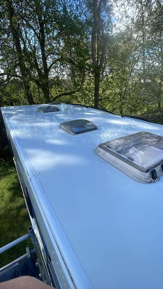 A caravan roof photographed from the ladder immediately after washing, still wet and reflecting the trees overhead.