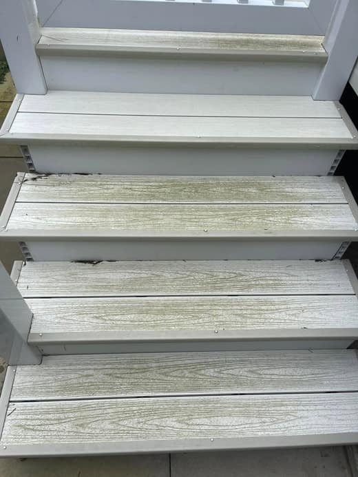 Composite steps up to a static caravan before cleaning, with green algae worked into the grain of every tread.