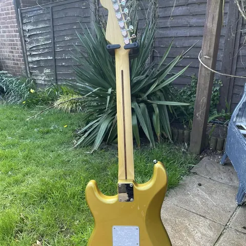 The back of the gold Stratocaster, showing the maple neck and the gold finish