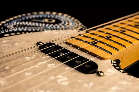 The neck pickup and maple fingerboard of the hand painted Telecaster