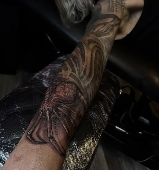 Clawed creature in black and grey reaching across the forearm