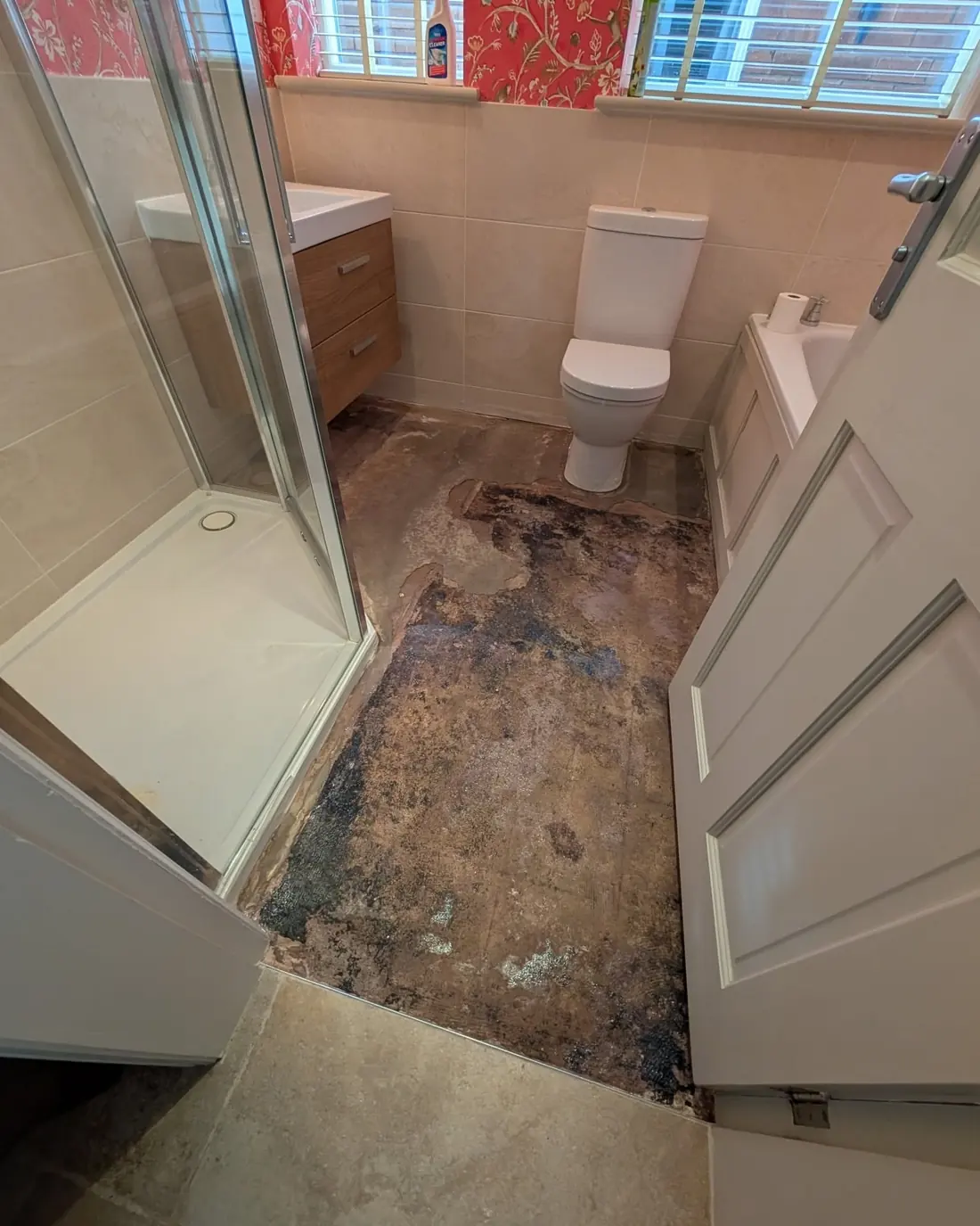 Bathroom floor stripped back to a dark, water stained sub floor beside a shower tray.