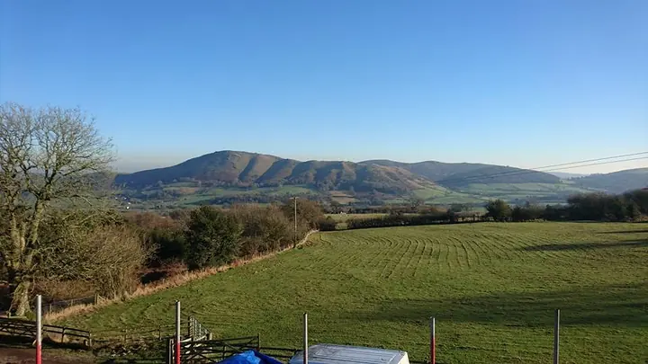 A view across a sunlit green field to a line of hills under a clear blue sky.
