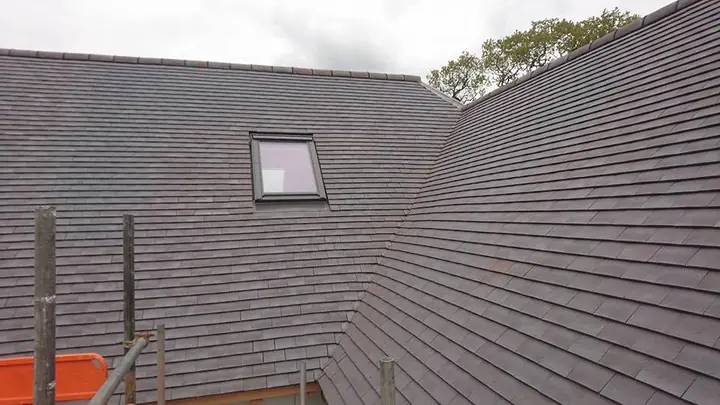 A new roof of dark plain tiles with a roof window, where two slopes meet, with scaffold poles along the eaves.