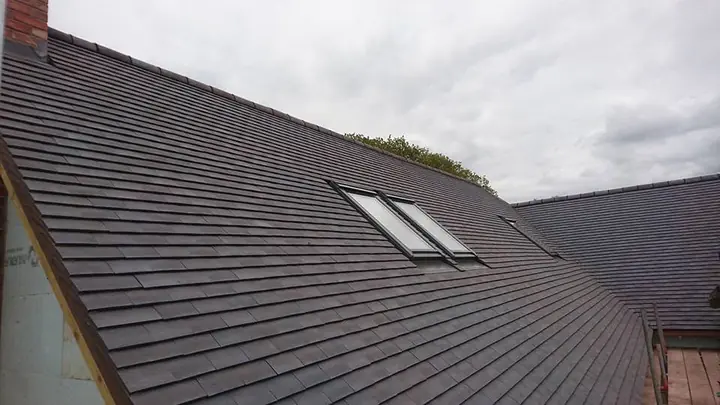 A steep slope of dark plain tiles with two roof windows fitted side by side, under a cloudy sky.