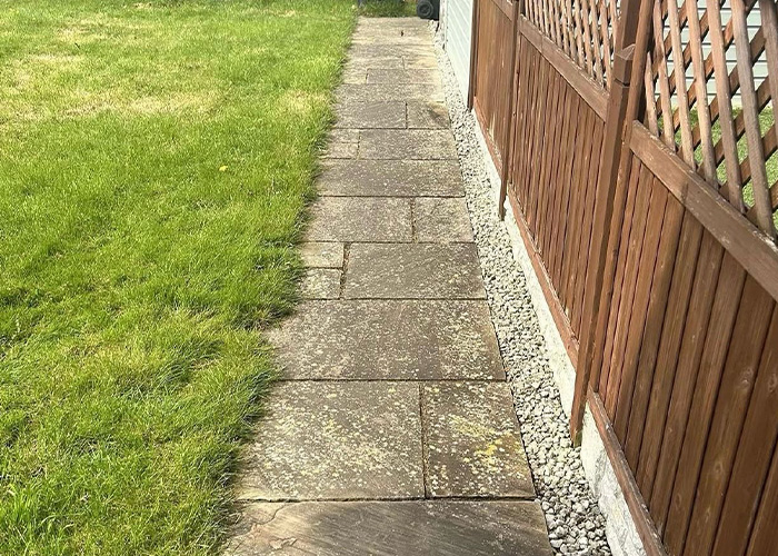 The same patio path before cleaning, covered in green moss and black algae