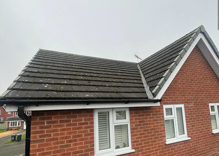 Bungalow roof cleared of moss and algae by soft washing, before