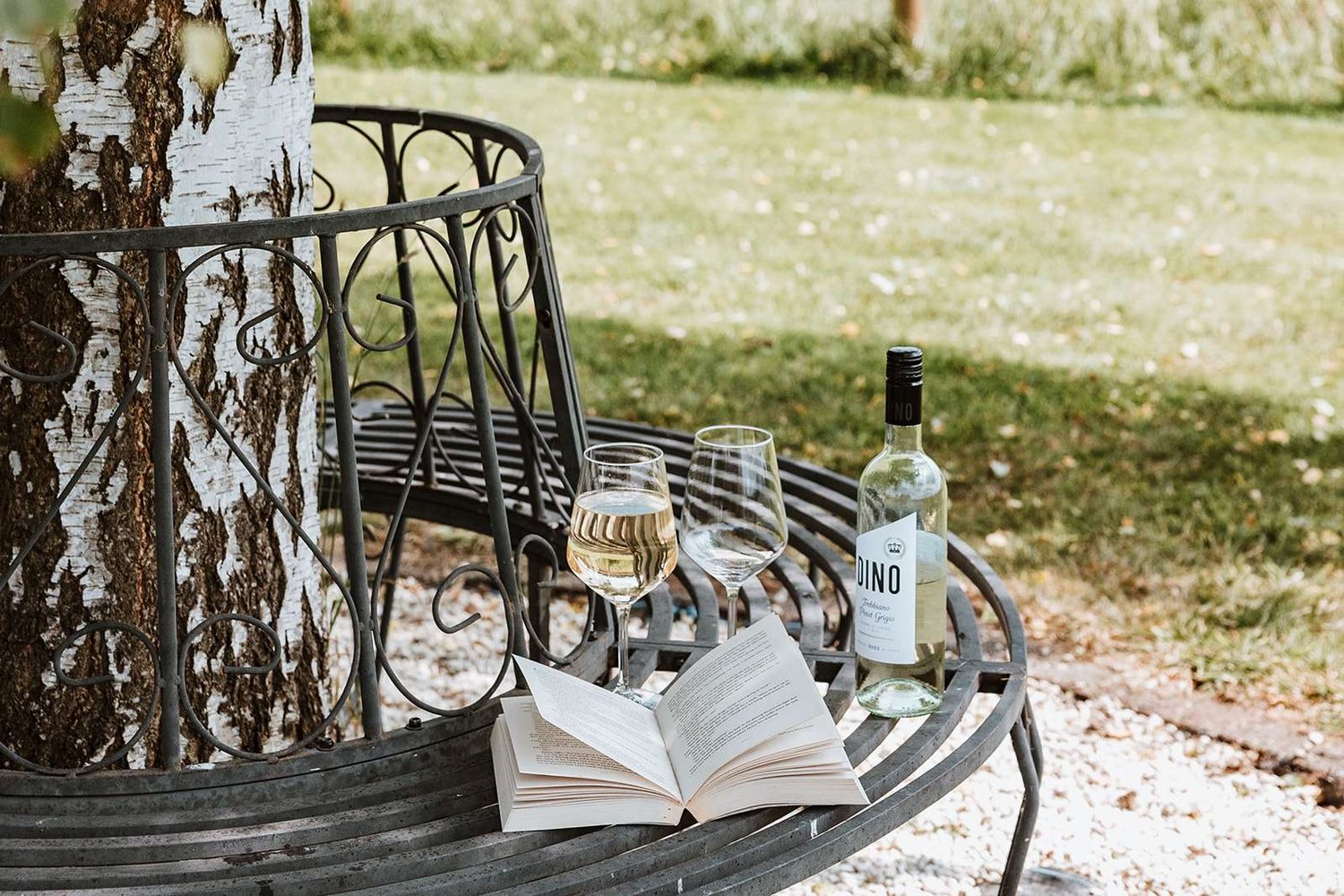 A glass of wine and a book on the birch tree bench in the garden